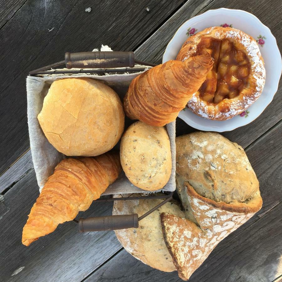B&B Hoeve Welgelegen 德哈恩 外观 照片