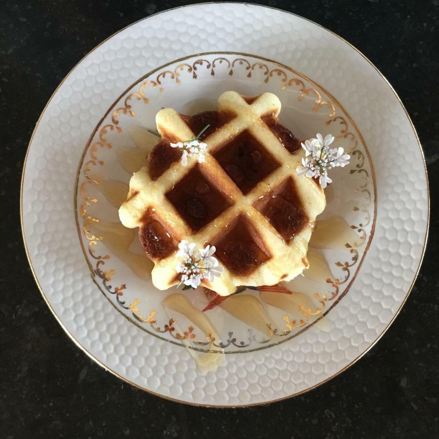 B&B Hoeve Welgelegen 德哈恩 外观 照片