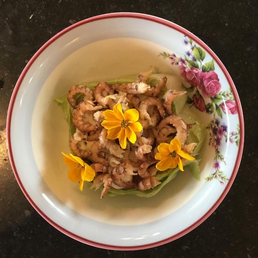 B&B Hoeve Welgelegen 德哈恩 外观 照片