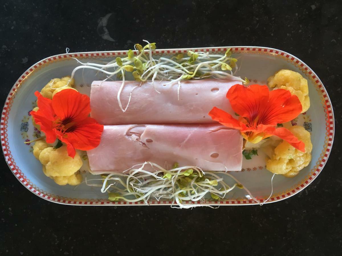 B&B Hoeve Welgelegen 德哈恩 外观 照片