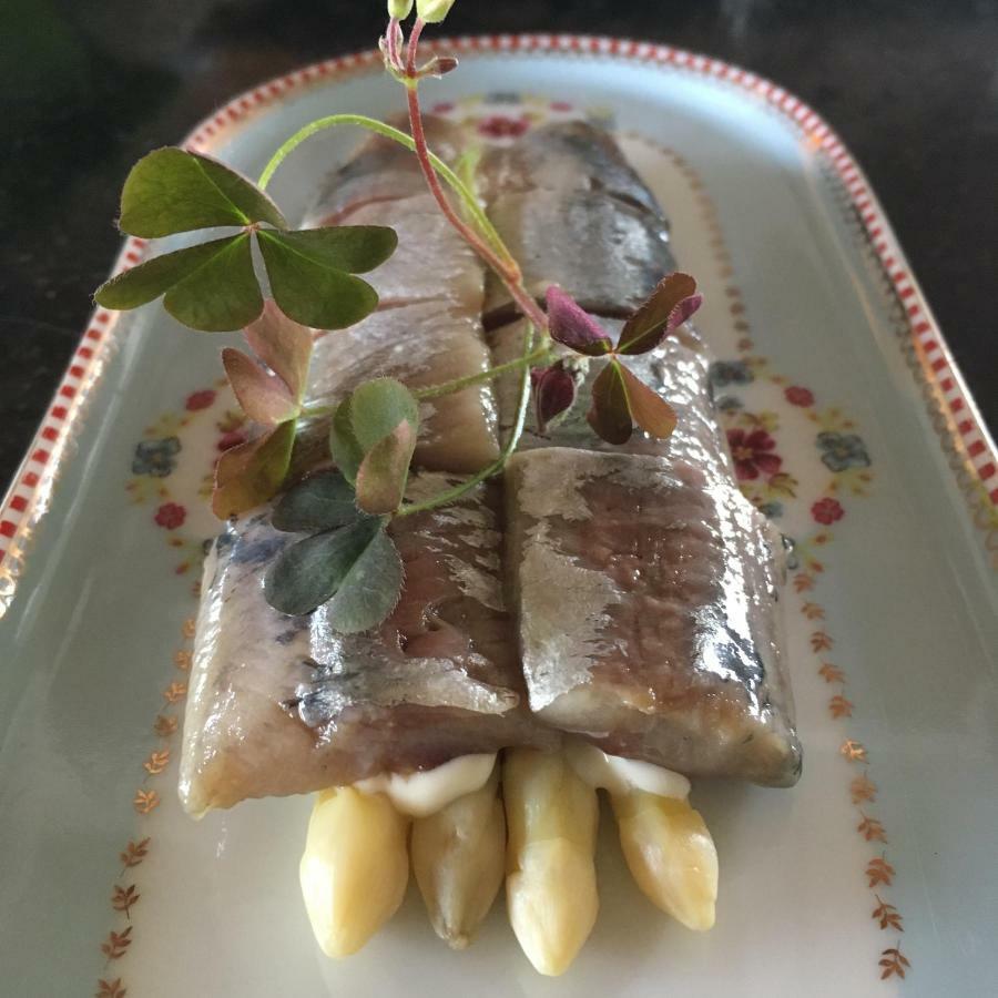 B&B Hoeve Welgelegen 德哈恩 外观 照片
